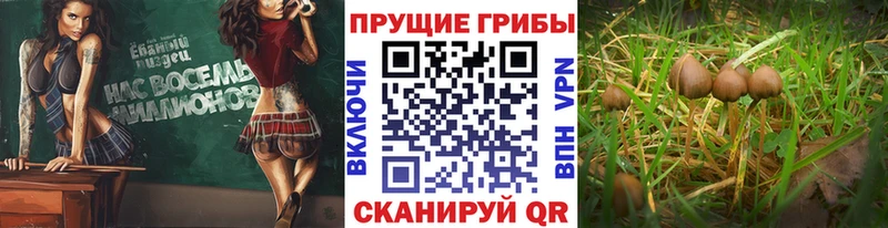 Галлюциногенные грибы ЛСД Гагарин