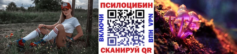 Купить где  Гагарин  Галлюциногенные грибы MAGIC MUSHROOMS 